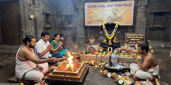 Vasuki Kaal Sarp Dosh Puja