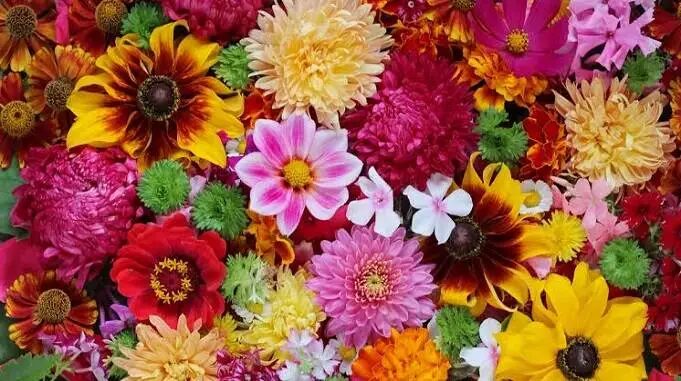 आखिर क्यों चढ़ाए जाते है भगवान को फूल 