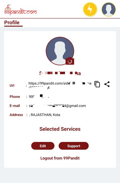 Pandit Partner Profile Update