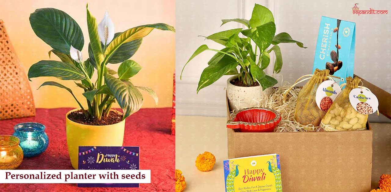 Personalized Planter with Seeds Diwali Gifts for Employees