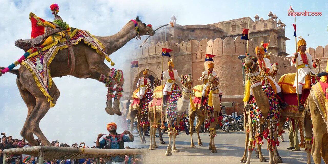 Bikaner Camel Festival 2025 Bikaner Camel Festival 2025