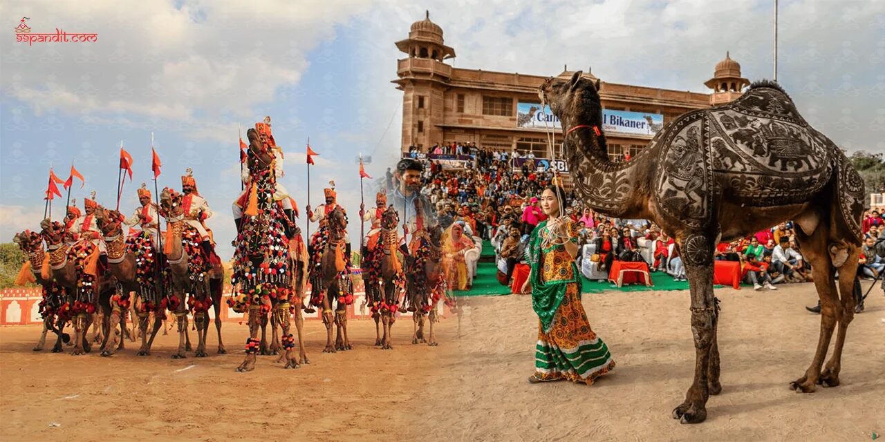 Bikaner Camel Festival 2025 Bikaner Camel Festival 2025