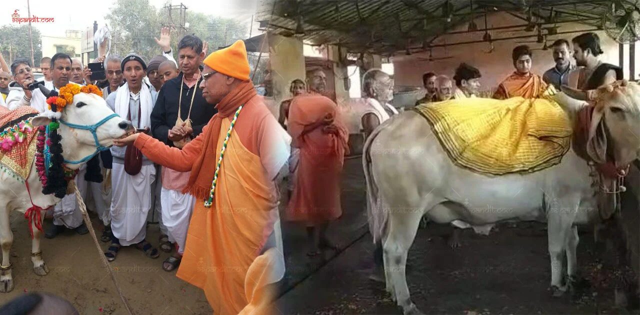 Gopashtami 2025