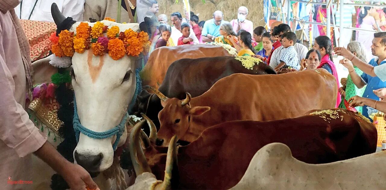 Gopashtami 2026