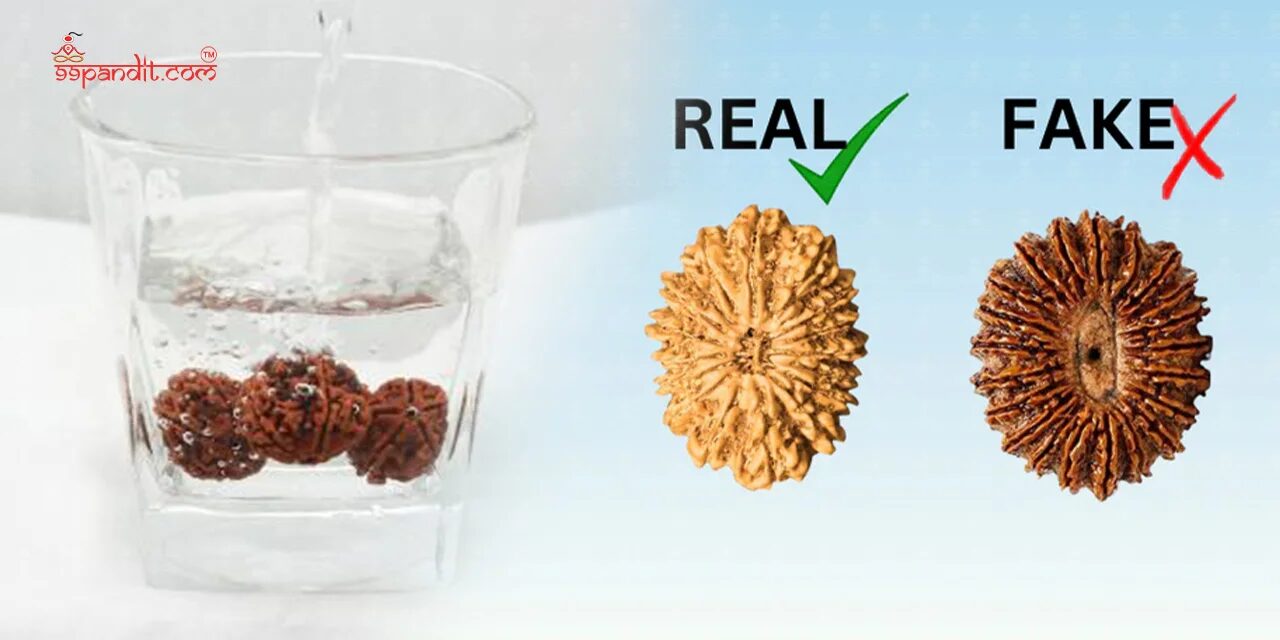 How to Identify Original Rudraksha
