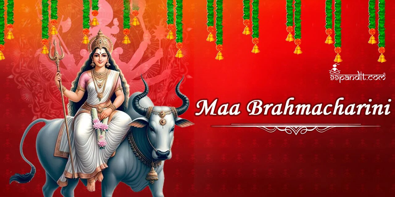 9 Avatars of Goddess Durga