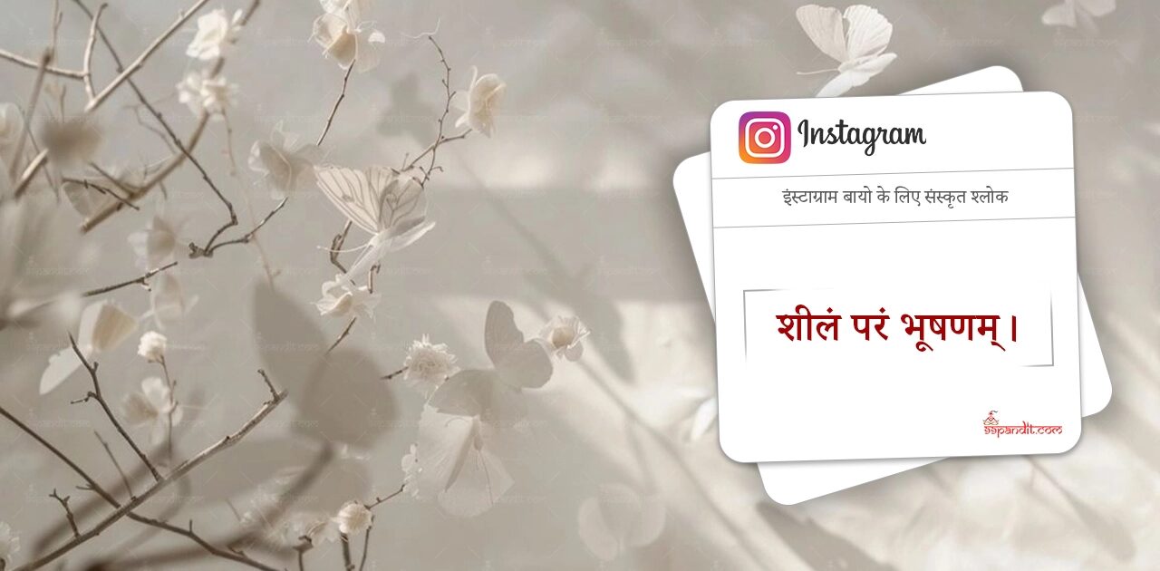 Sanskrit Shlok for Instagram Bio