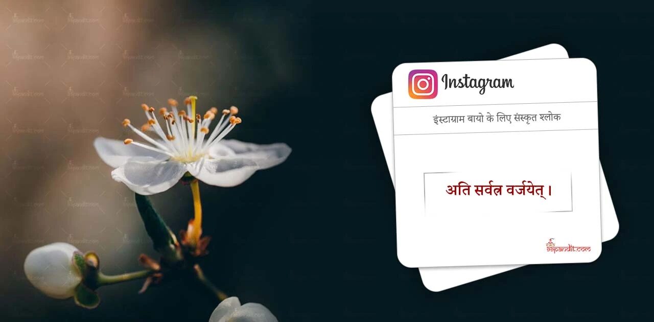 Best Sanskrit Bio for Instagram 