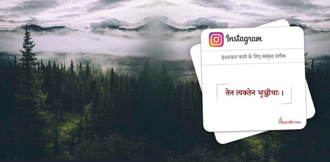 Top Sanskrit Shlok for Insta Bio