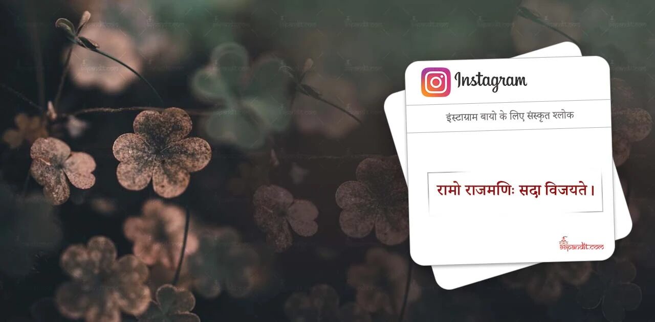 Sanskrit Instagram Bio