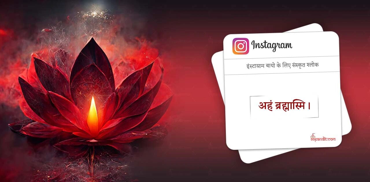 Facebook Bio Idea in Sanskrit