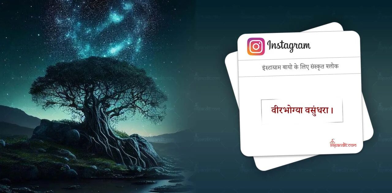 WhatsApp Sanskrit Bio