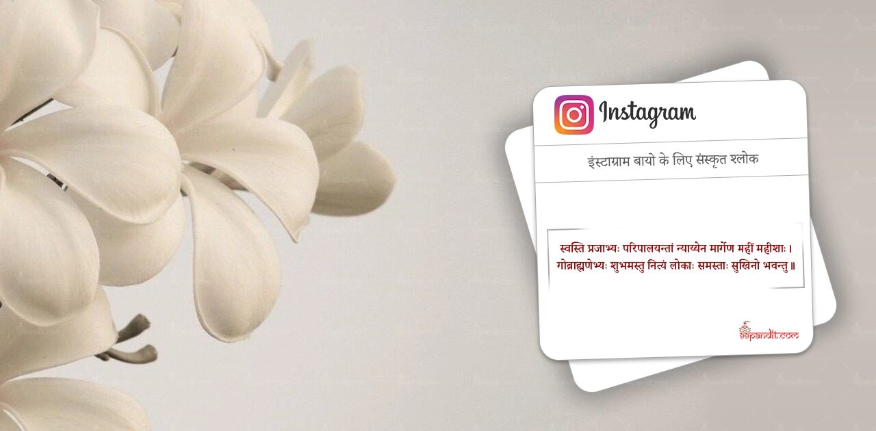 Instagram Bio Sanskrit Quotes