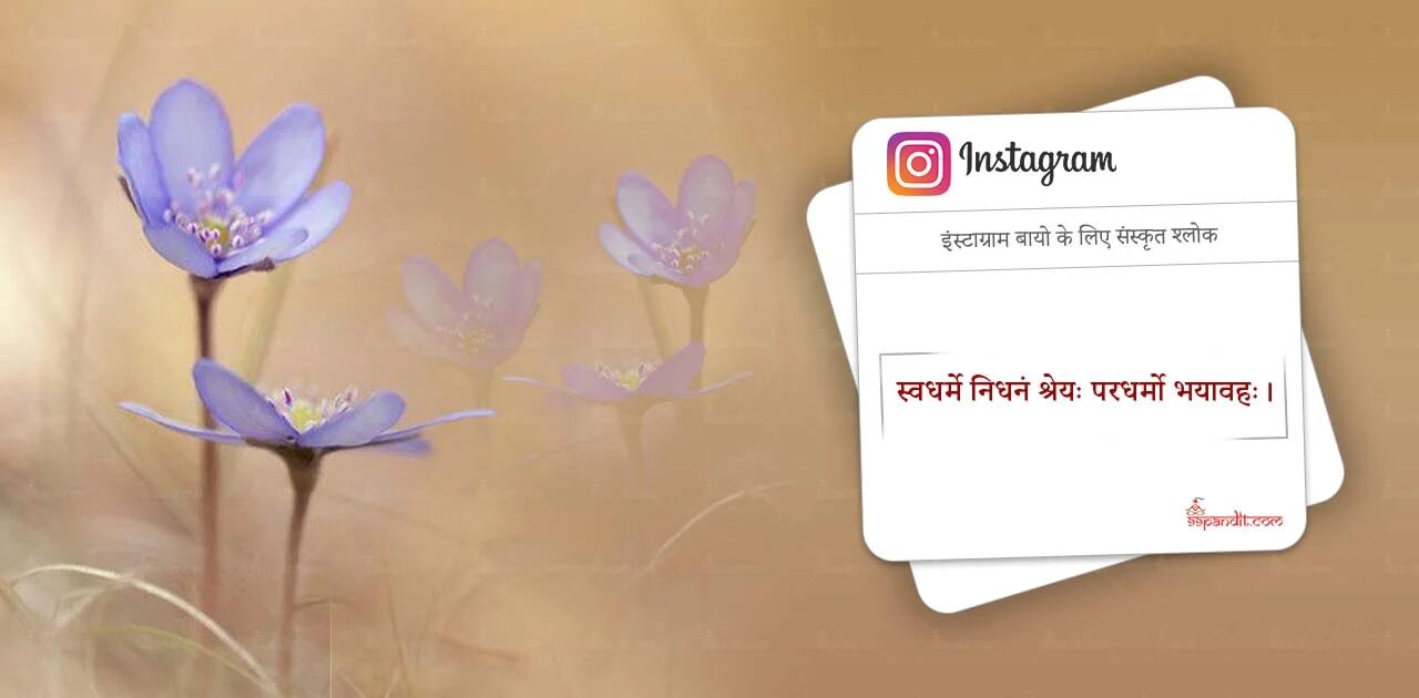 Facebook Bio Idea in Sanskrit