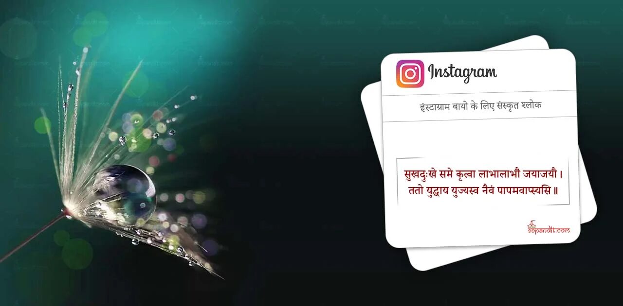 Sanskrit Quotes for Instagram Bio