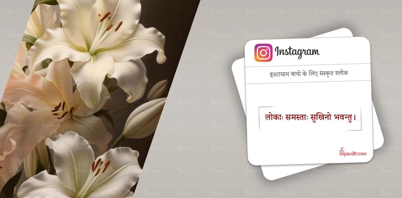Sanskrit Shlok for Insta Bio