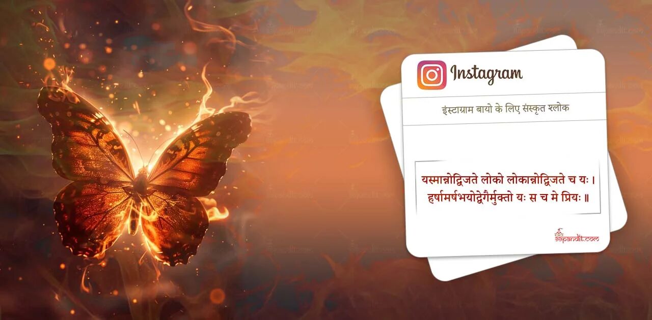 Top Sanskrit Shlok for Insta Bio