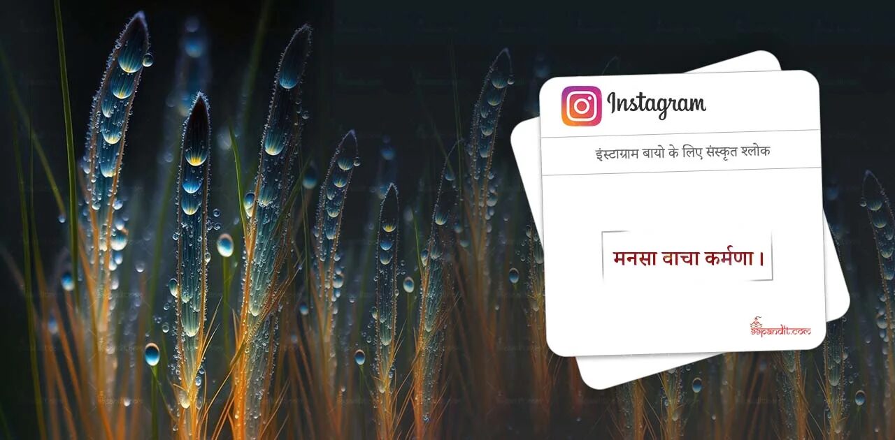 Sanskrit Karma Bio for Instagram