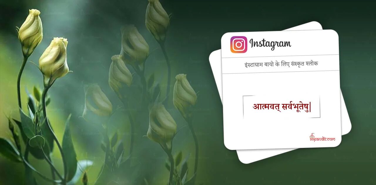 Sanskrit Bio for Mindful Mavens