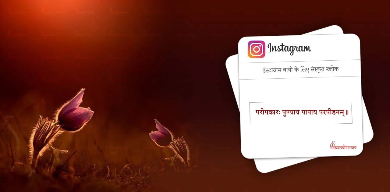 Unique Instagram Bio in Sanskrit