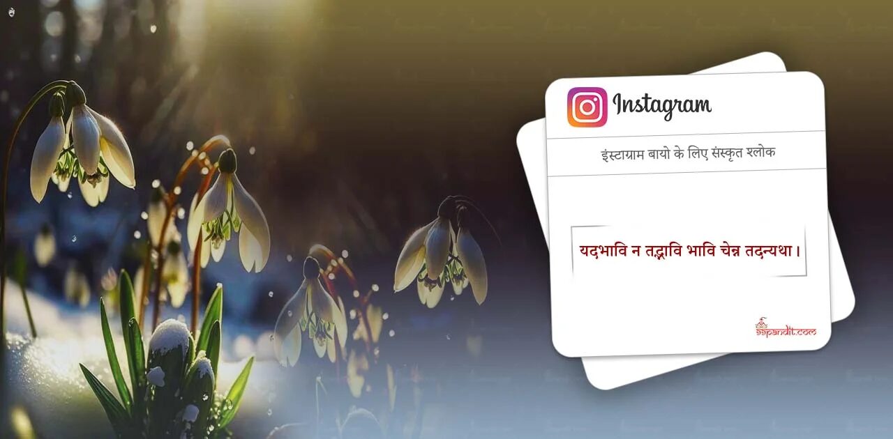 Short Sanskrit Shlok for Instagram Bio