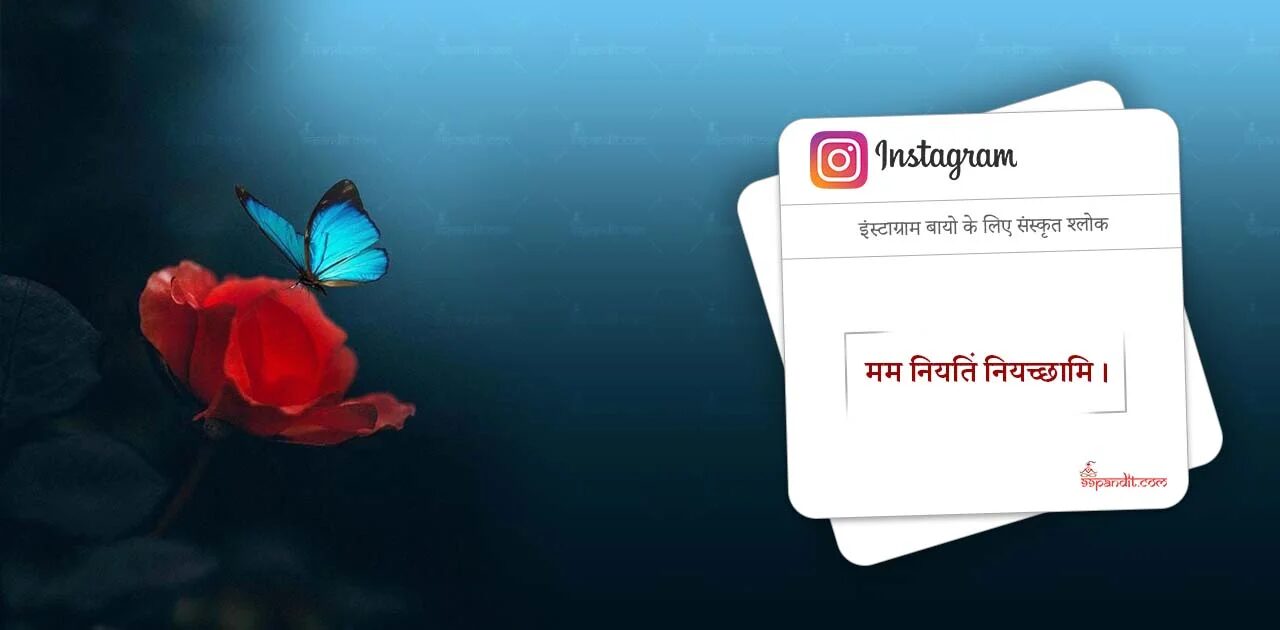 Top Sanskrit Shlok for Insta Bio