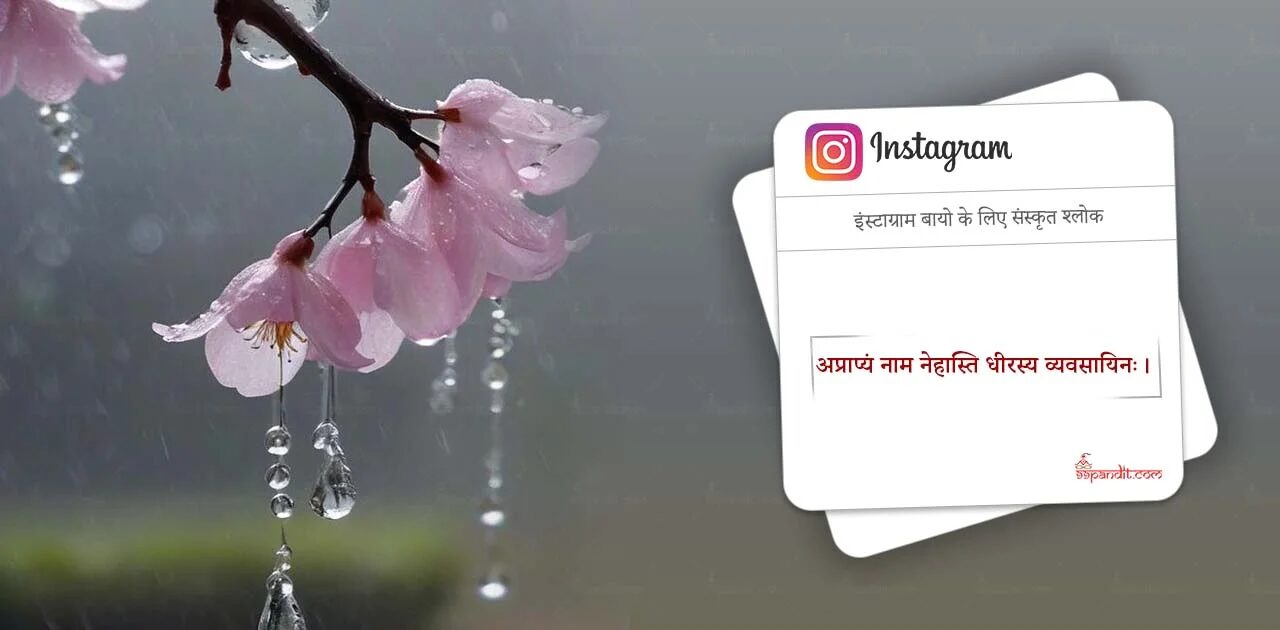 इंस्टाग्राम बायो के लिए संस्कृत श्लोक