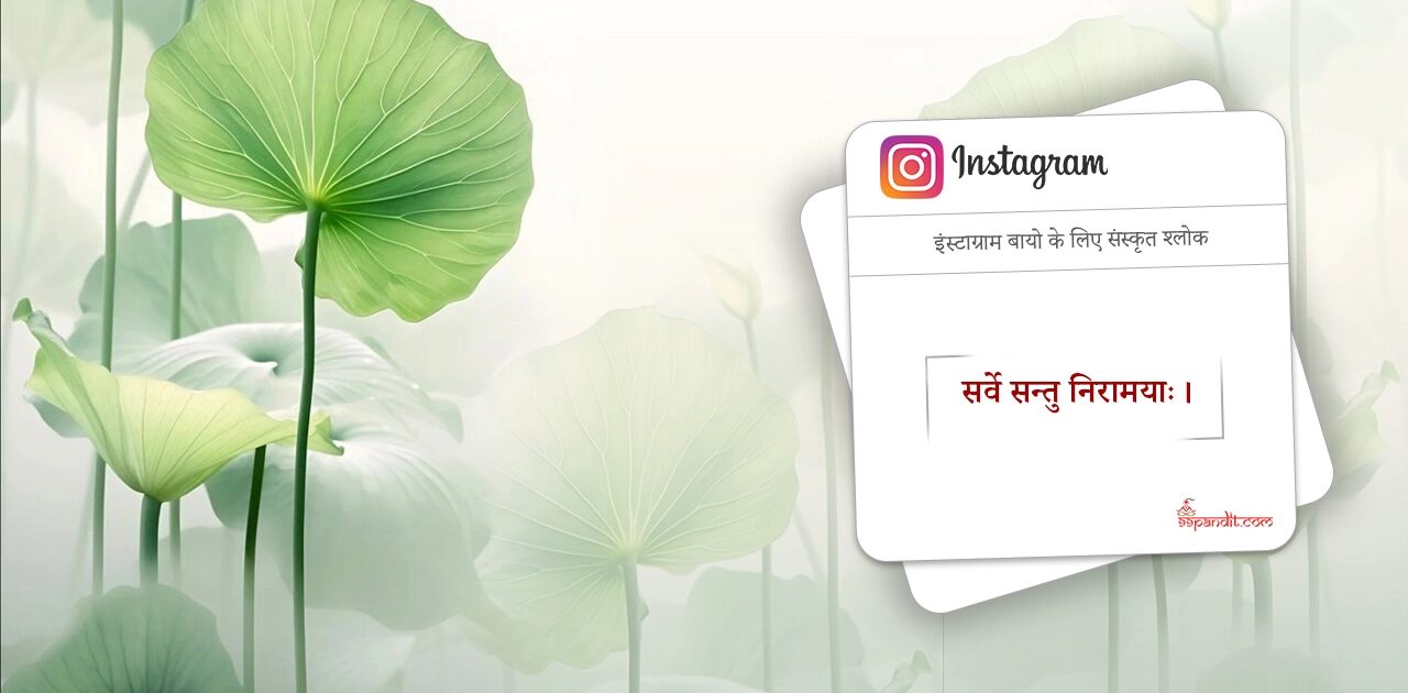 Sanskrit Shlok for Social Media Bio