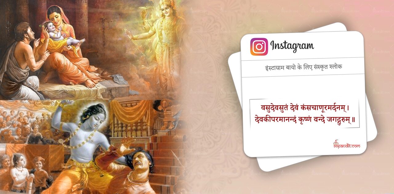 WhatsApp Sanskrit Bio