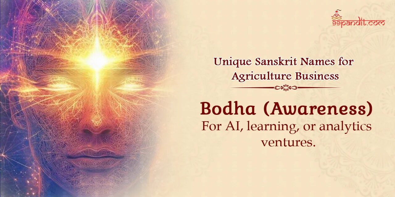 Sanskrit Names for Business