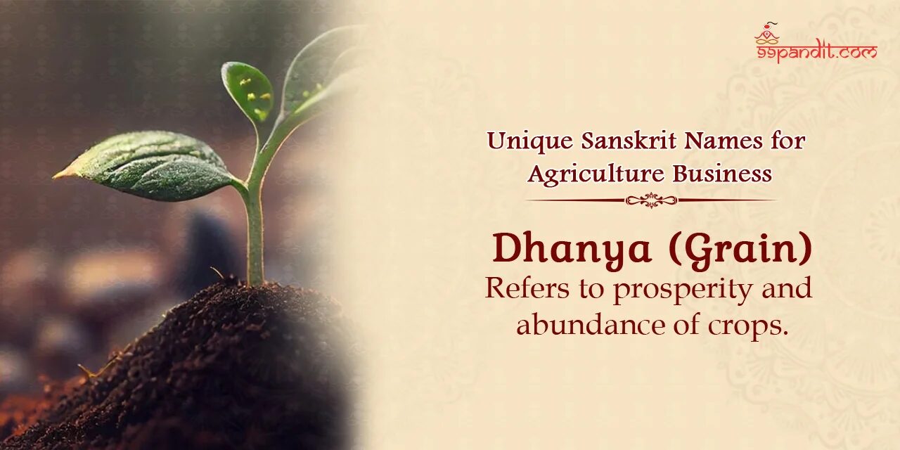 Sanskrit Names for Business