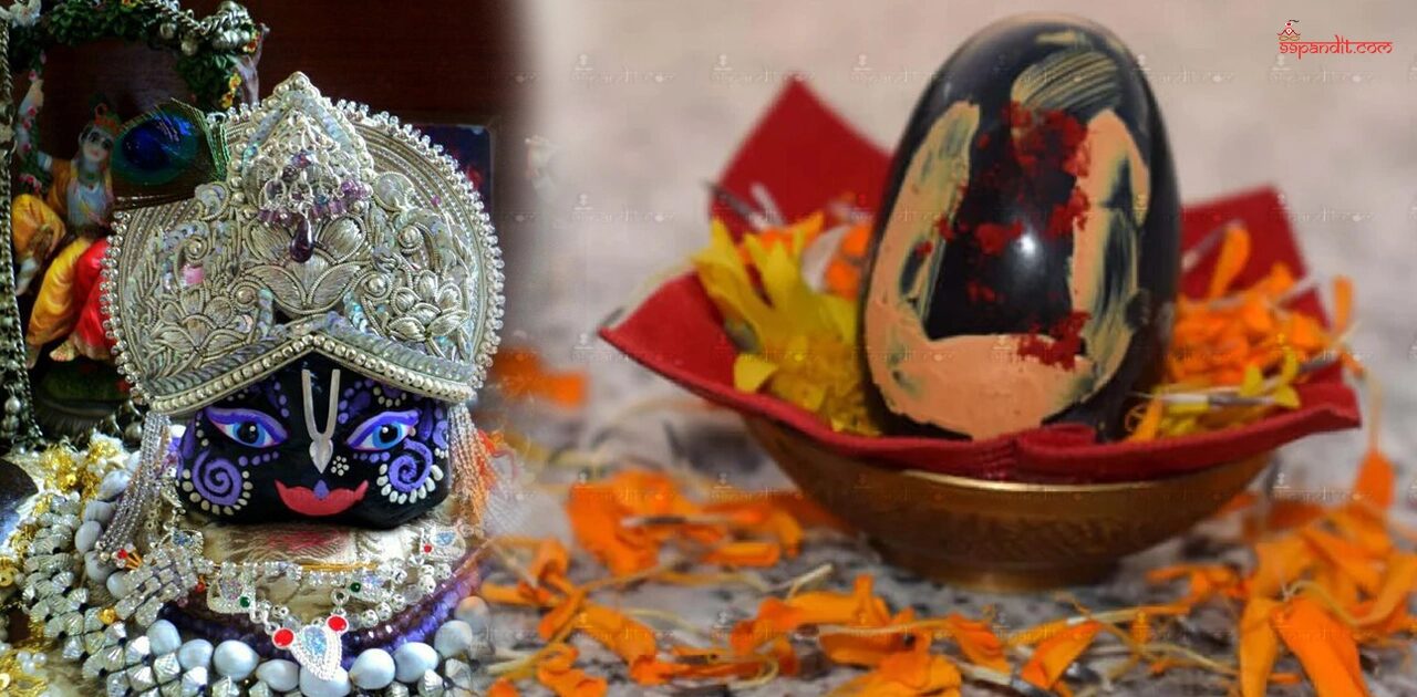 Shaligram Stone