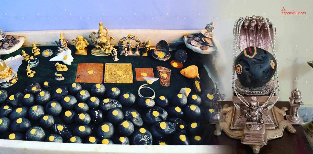 Shaligram Stone