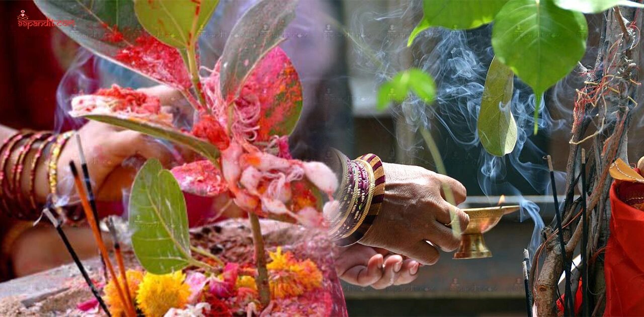 Vat Savitri Puja 2026