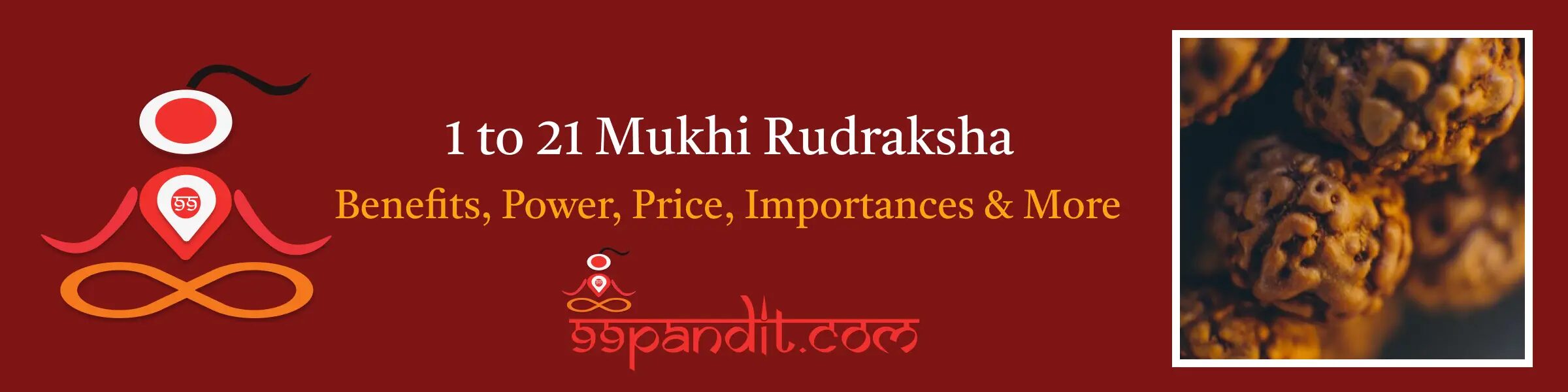 1 to 21 Mukhi Rudraksha: Benefits, Power, Price, Importances & More
