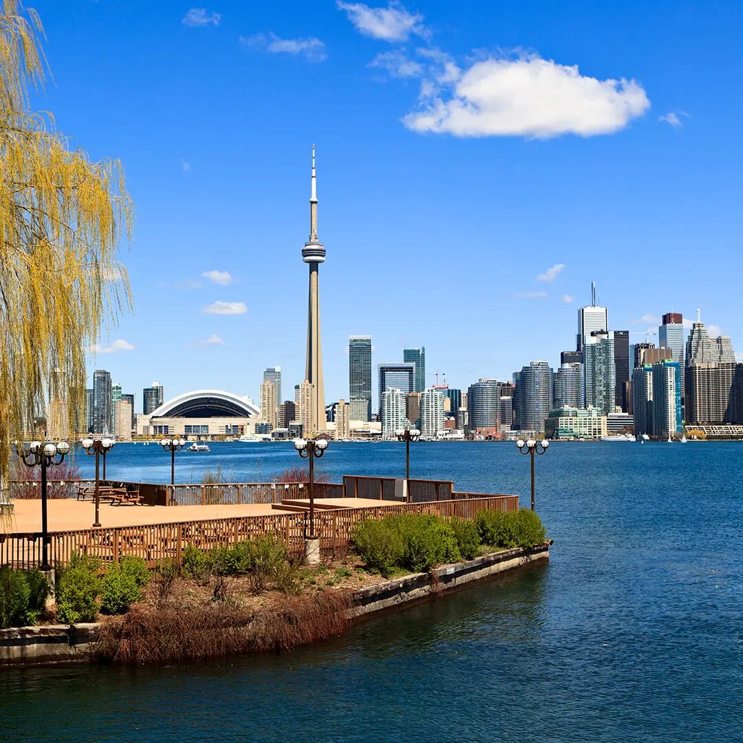 book best pandit in toronto book best pandit in toronto