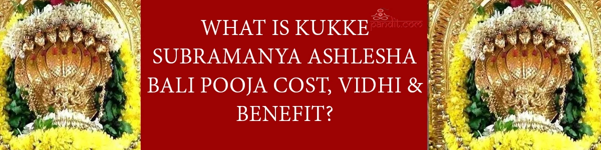 What Is Kukke Subramanya Ashlesha Bali Pooja Cost, Vidhi & Benefit?