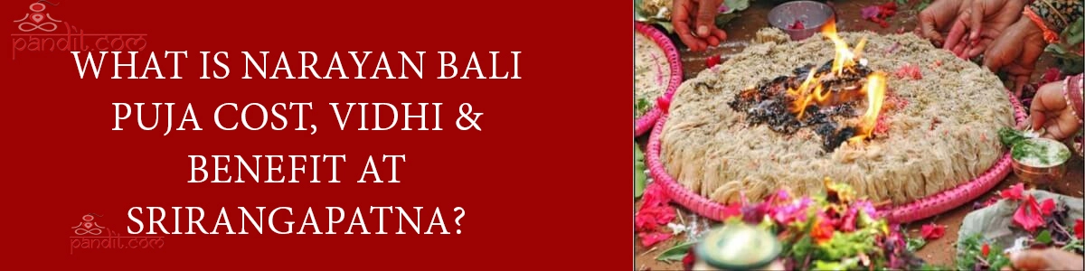 What Is Narayan Bali Puja Cost, Vidhi & Benefit At Srirangapatna?
