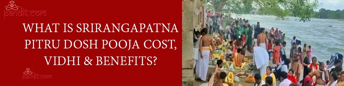 What Is Srirangapatna Pitru Dosh Pooja Cost, Vidhi & Benefits?