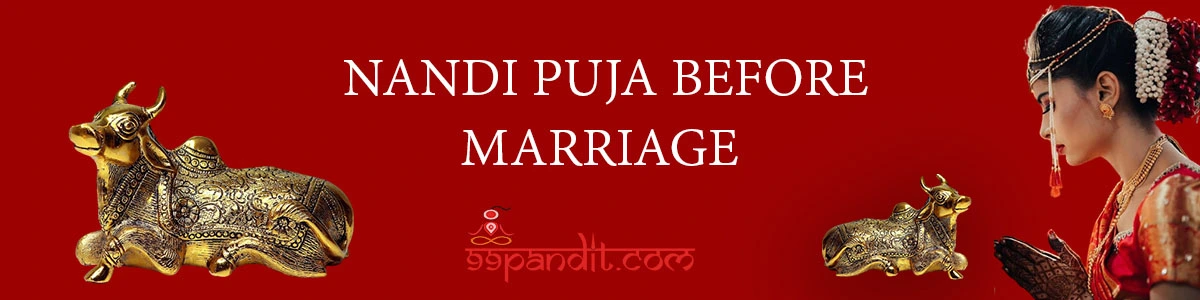 Free Booking) What Is Nandi Puja Before Marriage Cost, Vidhi, And Benefits?