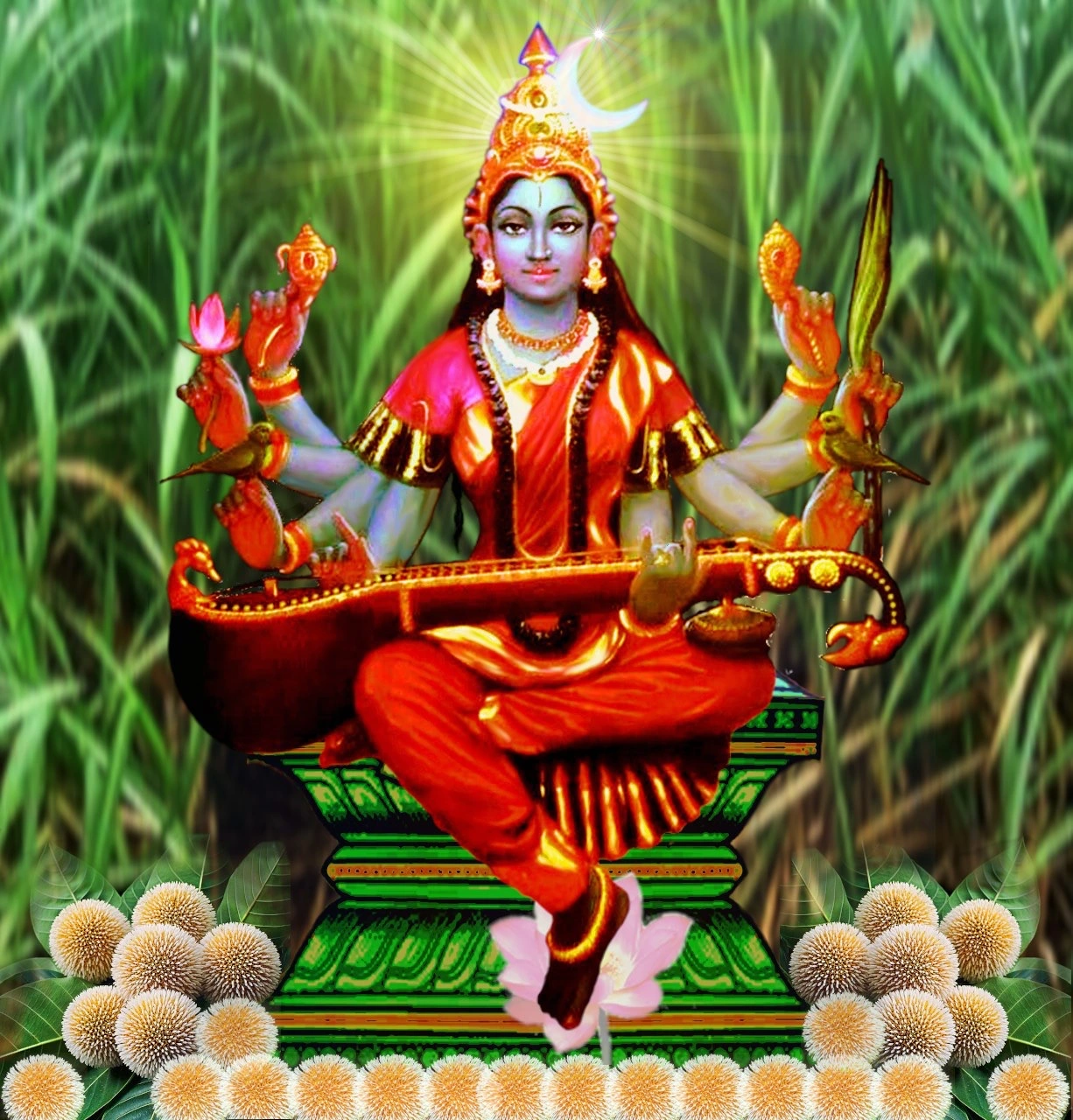 Rajashyamala Puja