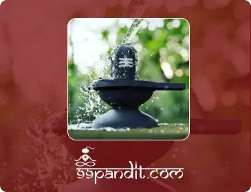 Pandit for Rudrabhishek Puja in Rameshwaram: Cost, Vidhi & Benefits-99pandit